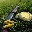 GSH Annual Clay Shoot Tournament - Aug 28th